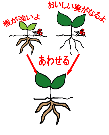 �L���E���@�n�C�|�j�J�@�ƒ�؉�